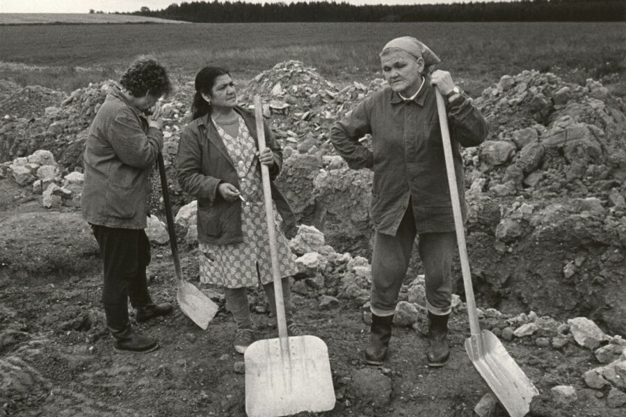 Jindřich Štreit, 1987